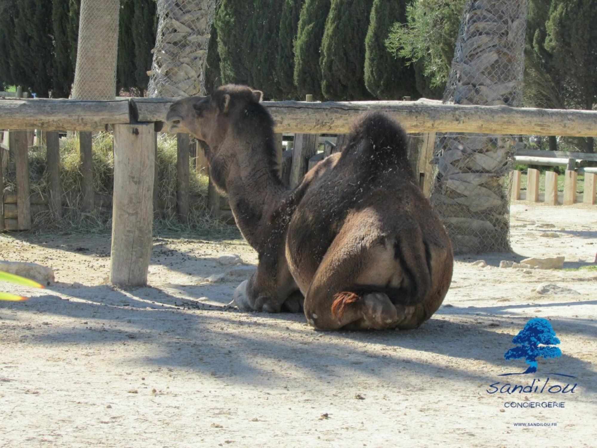 Sandilou Lespetitsbonheurs 2 Chambres Climatise Tv Sigean Luaran gambar